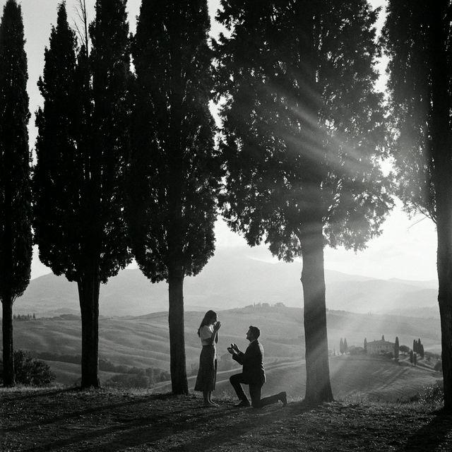 The Proposal